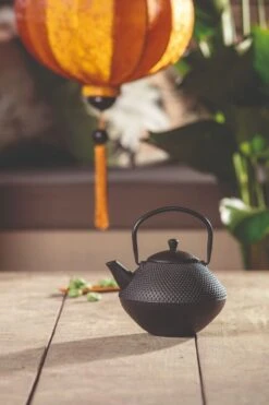 Bredemeijer Xinjang Theepot 1 Liter Gietijzer Zwart -Premium Drankenwinkel bredemeijer xinjang theepot 1 liter gietijzer zwart 3