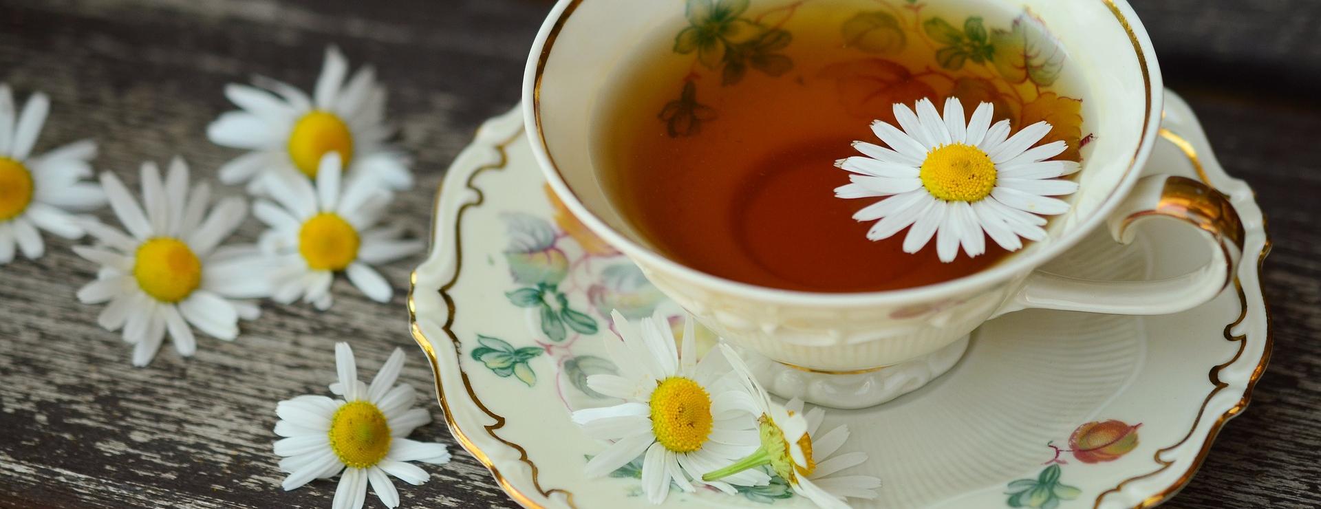 Premium Drankenwinkel -Premium Drankenwinkel cup 829527 1920